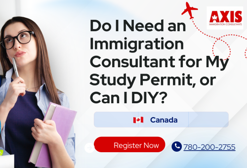 Immigration Consultant