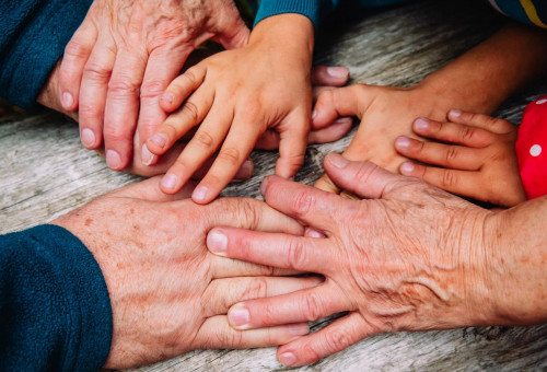 Updates on the Parents and Grandparents Program (PGP) Updates on the Parents and Grandparents Program (PGP)